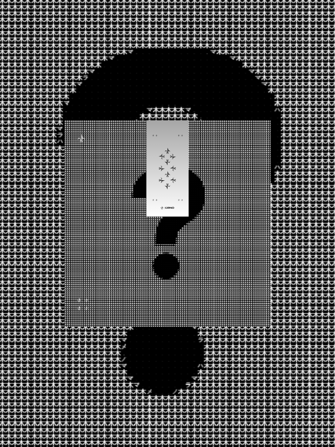 CBNO | WHY ACCESSORIES MATTER